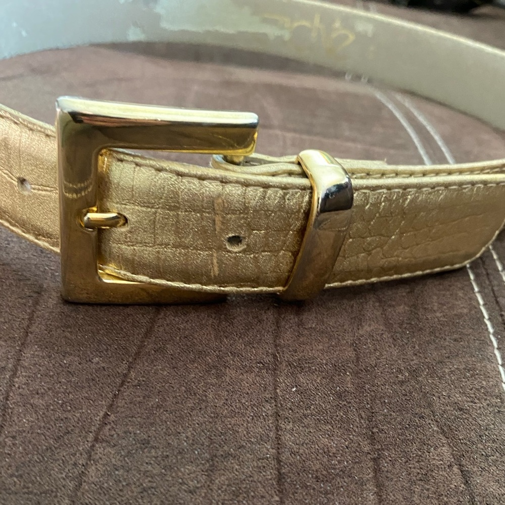 Cache belt small gold gold buckle sides